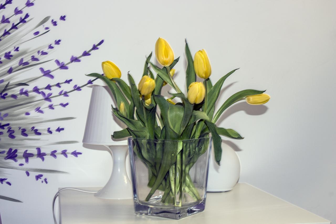 Orvieto Aroma Rooms 2 Экстерьер фото