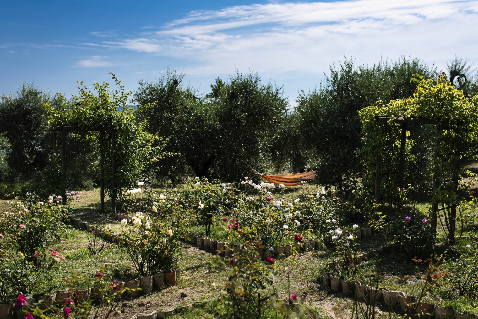 Orvieto Aroma Rooms 2 Экстерьер фото